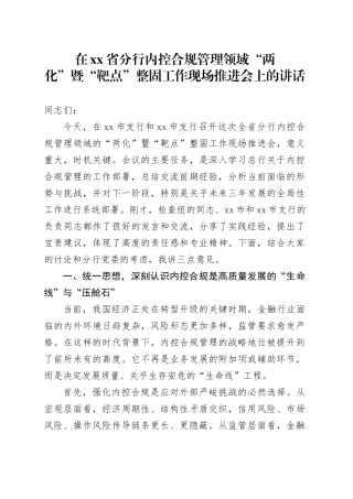 在省分行内控合规管理领域“两化”暨“靶点”整固工作现场推进会上的讲话