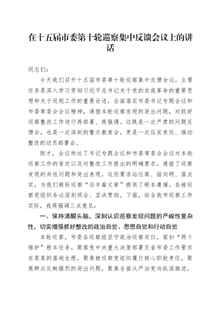 在十五届市委第十轮巡察集中反馈会议上的讲话