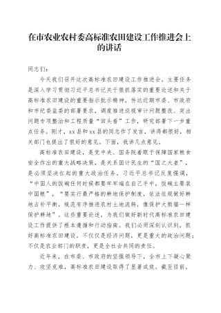 在市农业农村委高标准农田建设工作推进会上的讲话
