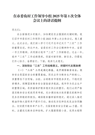在市委农村工作领导小组2025年第1次全体会议上的讲话提纲