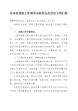 在市委巡察工作领导小组第九次会议上的汇报