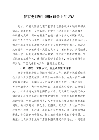 在市委巡察问题反馈会上的讲话