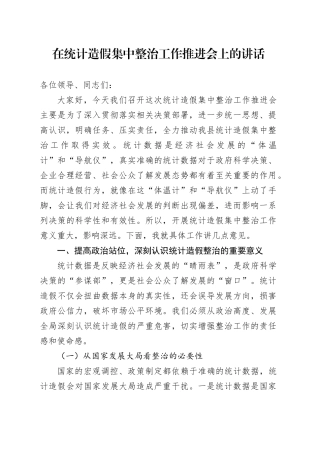 在统计造假集中整治工作推进会上的讲话