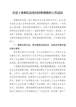 在县工业和信息化局挂职锻炼的工作总结（1）