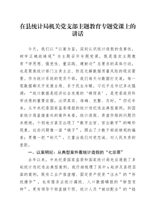 在县统计局机关党支部主题教育专题党课上的讲话