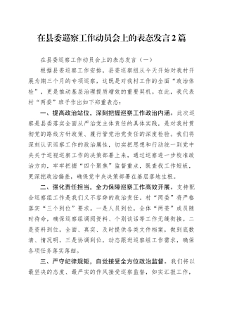 在县委巡察工作动员会上的表态发言2篇