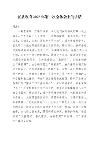 在县政府2025年第一次全体会上的讲话