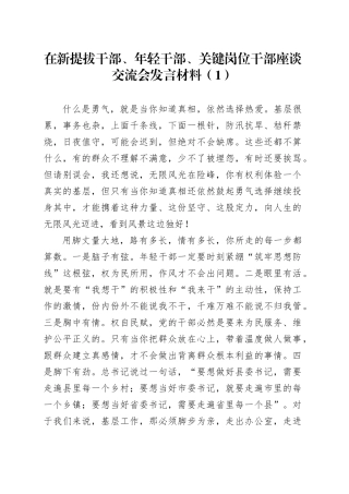 在新提拔干部、年轻干部、关键岗位干部座谈交流会发言材料材料合集2篇20250818