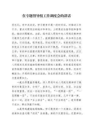 在专题督导组工作调度会的讲话