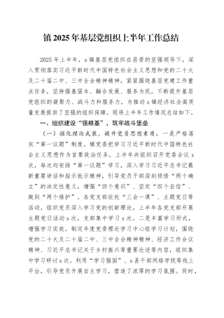 镇2025年基层党组织上半年工作总结（1）