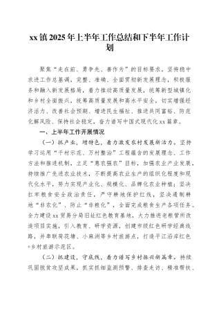 镇2025年上半年工作总结和下半年工作计划