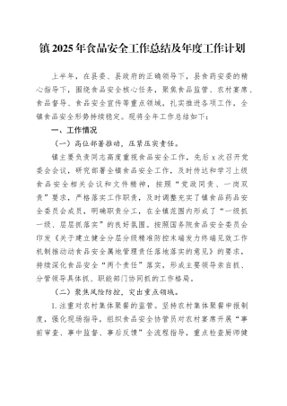 镇2025年食品安全工作总结及年度工作计划