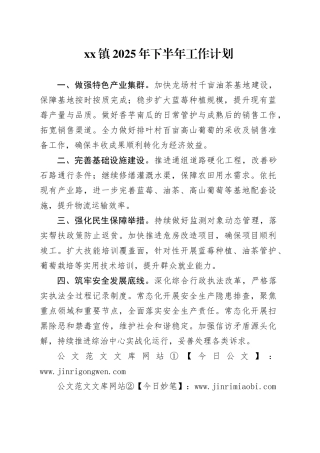 镇2025年下半年工作计划