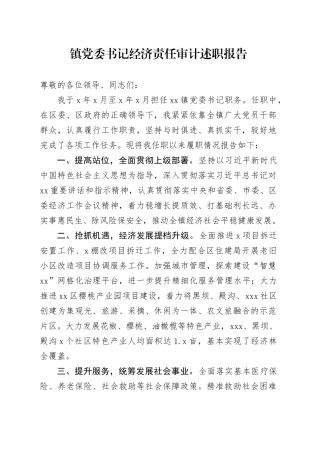 镇党委书记经济责任审计述职报告