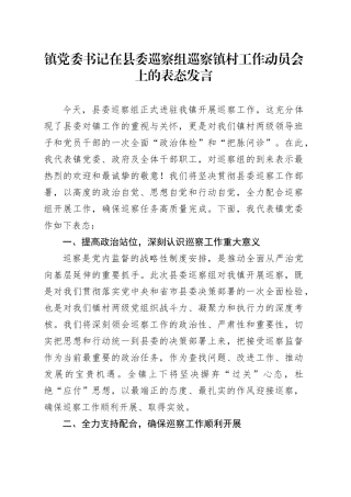 镇党委书记在县委巡察组巡察镇村工作动员会上的表态发言