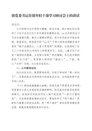 镇党委书记在镇年轻干部学习研讨会上的讲话
