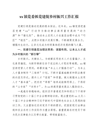 镇党委抓党建促乡村振兴工作汇报