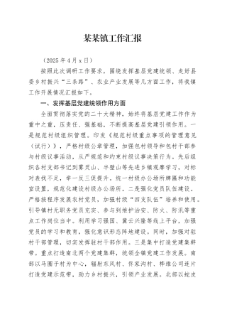 镇工作开展情况汇报（20250406）