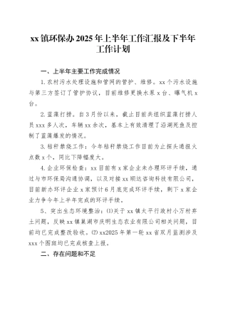 镇环保办2025年上半年工作汇报及下半年工作计划