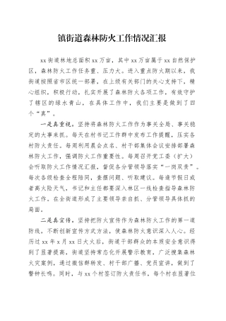 镇街道森林防火工作情况汇报