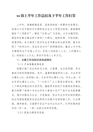 镇上半年工作总结及下半年工作打算