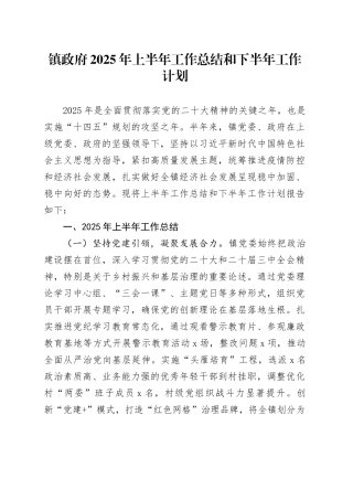 镇政府2025年上半年工作总结和下半年工作计划