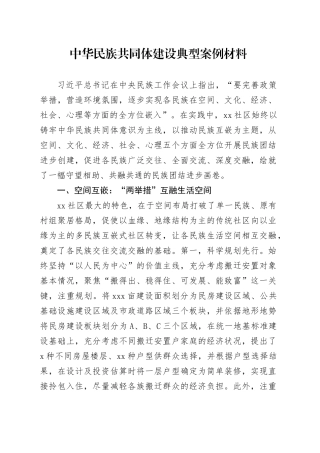 中华民族共同体建设典型案例材料