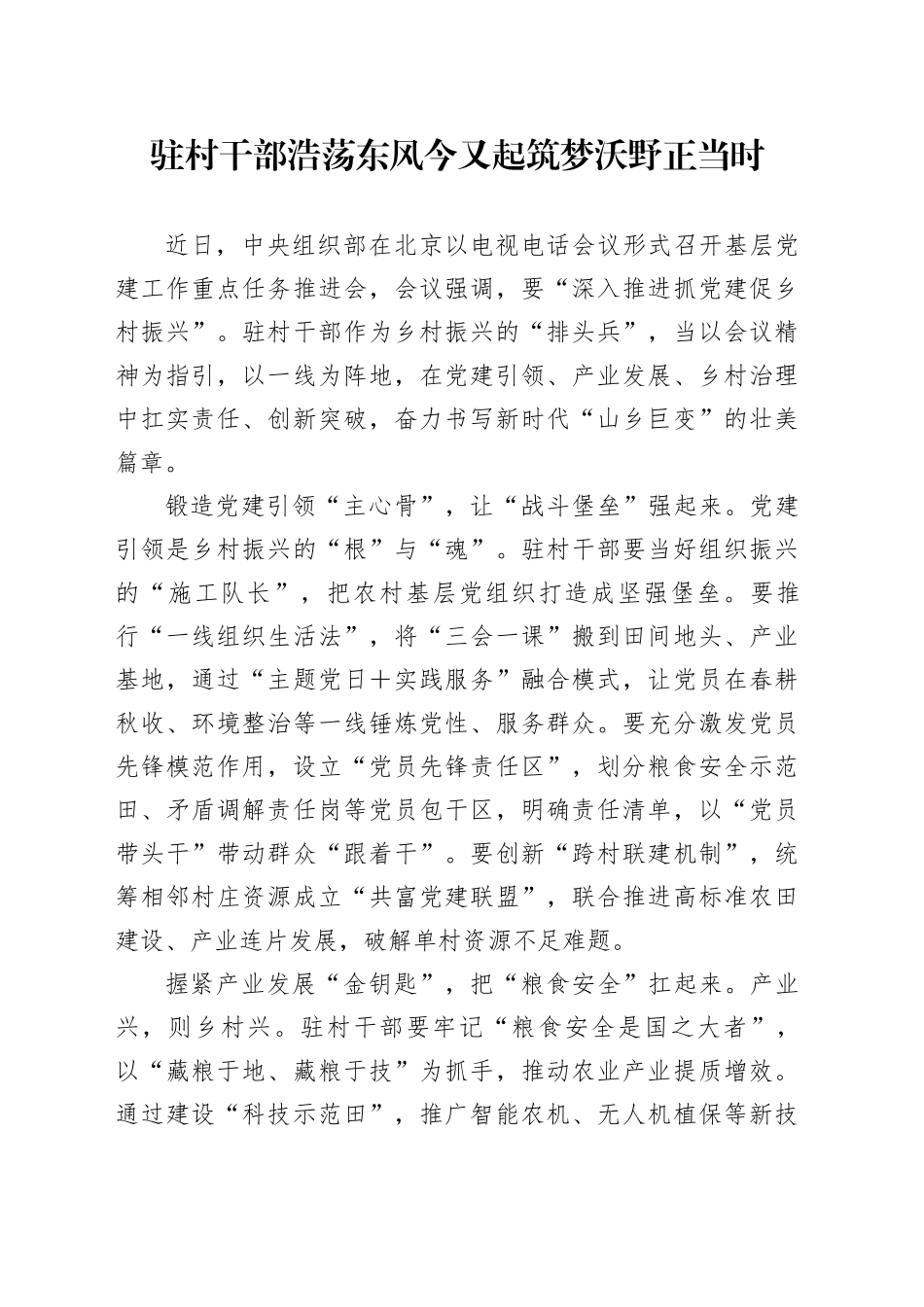 驻村干部浩荡东风今又起筑梦沃野正当时_第1页