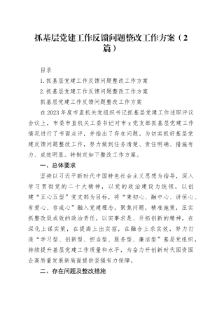 抓基层党建工作反馈问题整改工作方案（2篇）
