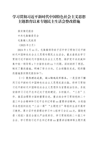 专题民主生活会整改措施落实情况报告（202502）