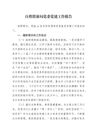 自然资源局党委党建工作报告