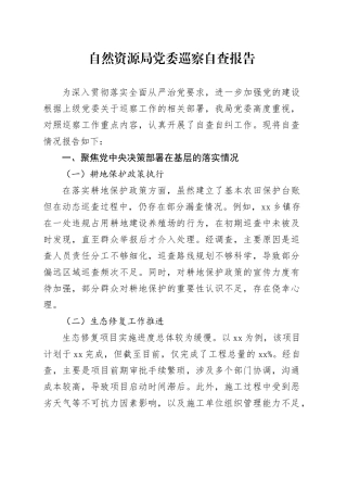 自然资源局党委巡察自查报告