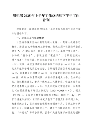 组织部2025年上半年工作总结和下半年工作计划