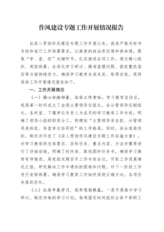 作风建设专题工作开展情况报告