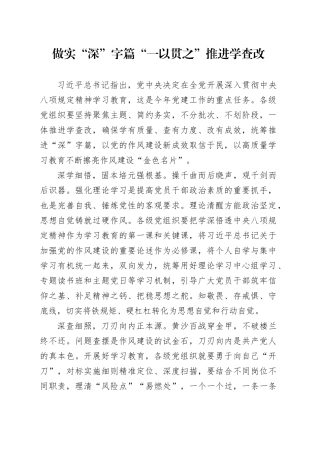 做实“深”字篇 “一以贯之”推进学查改