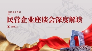 2025年民营企业座谈会深度解读PPT课件（20250305）