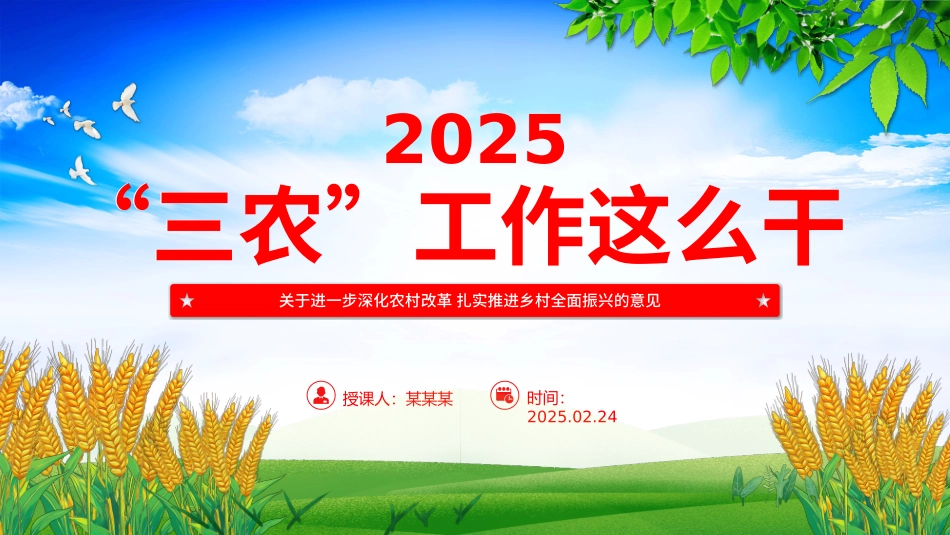 2025年三农工作这么干PPT中央一号文件要点（20250305）_第1页