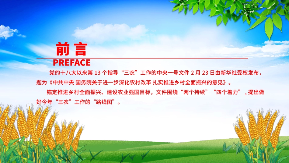 2025年三农工作这么干PPT中央一号文件要点（20250305）_第2页