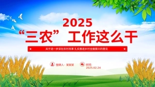2025年三农工作这么干PPT中央一号文件要点（20250305）