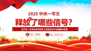 2025中央一号文件释放了哪些新信号PPT党课课件（20250305）