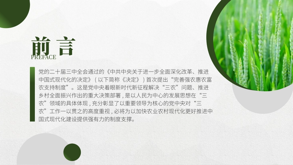 党的二十届三中全会精神党课PPT课件含讲稿：完善强农惠农富农支持制度（4200字，26张，三农、农业）_第2页