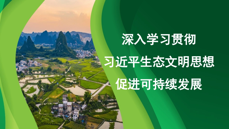 党课PPT课件含讲稿：深入学习贯彻习近平生态文明思想促进可持续发展27_第1页