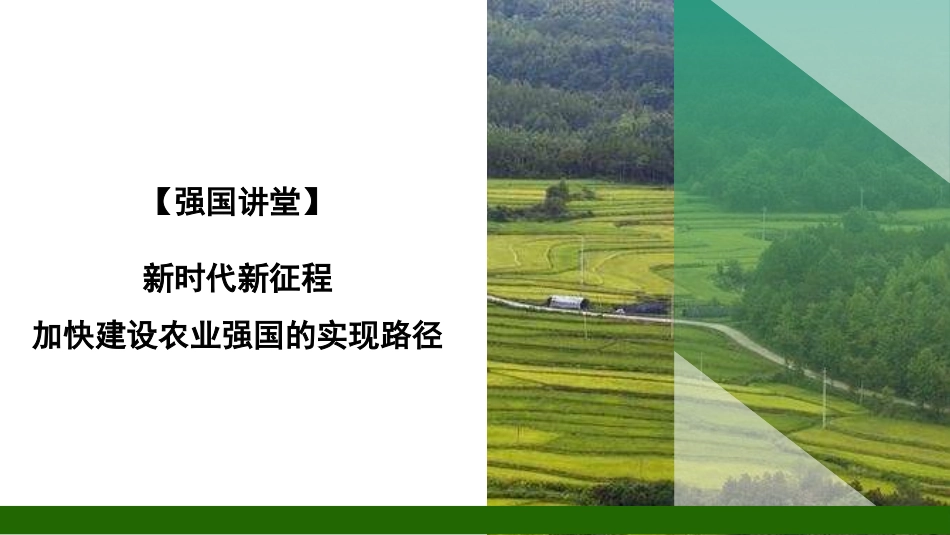党课PPT课件含讲稿：新时代新征程加快建设农业强国的实现路径_第1页