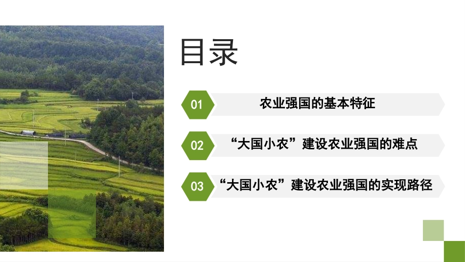 党课PPT课件含讲稿：新时代新征程加快建设农业强国的实现路径_第2页