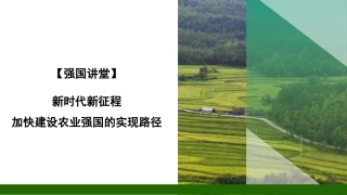 党课PPT课件含讲稿：新时代新征程加快建设农业强国的实现路径