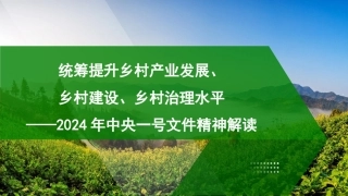 党课讲稿+PPT：2024年中央一号文件精神解读  统筹提升乡村产业发展、乡村建设、乡村治理水平