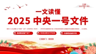 读懂2025中央一号党课ppt课件（20250305）