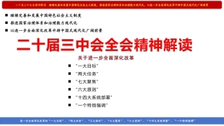 二十届三中全会精神解读（PPT）