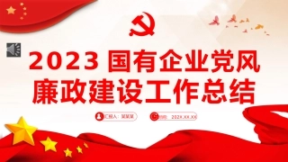 国企党风廉政建设工作总结PPT（20240131）