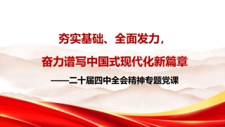 学习贯彻二十届四中全会精神党课PPT课件含讲稿：夯实基础、全面发力，奋力谱写中国式现代化新篇章33